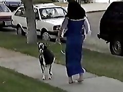 Jirkanch dames respublikasi Hunchback xxx