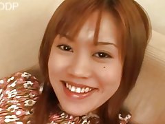 Osiyo mushuk uni juda yaxshi oladi